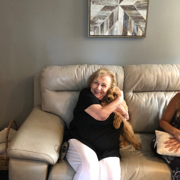 ZORRO SAYS “RELAX” - Picture 8 of 16